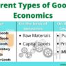 different types of goods in economics