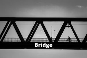 Examples of Public Goods-bridge